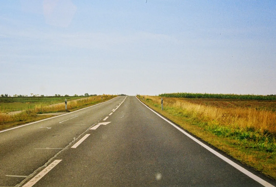 Road stretching into the distance under a clear blue sky.
