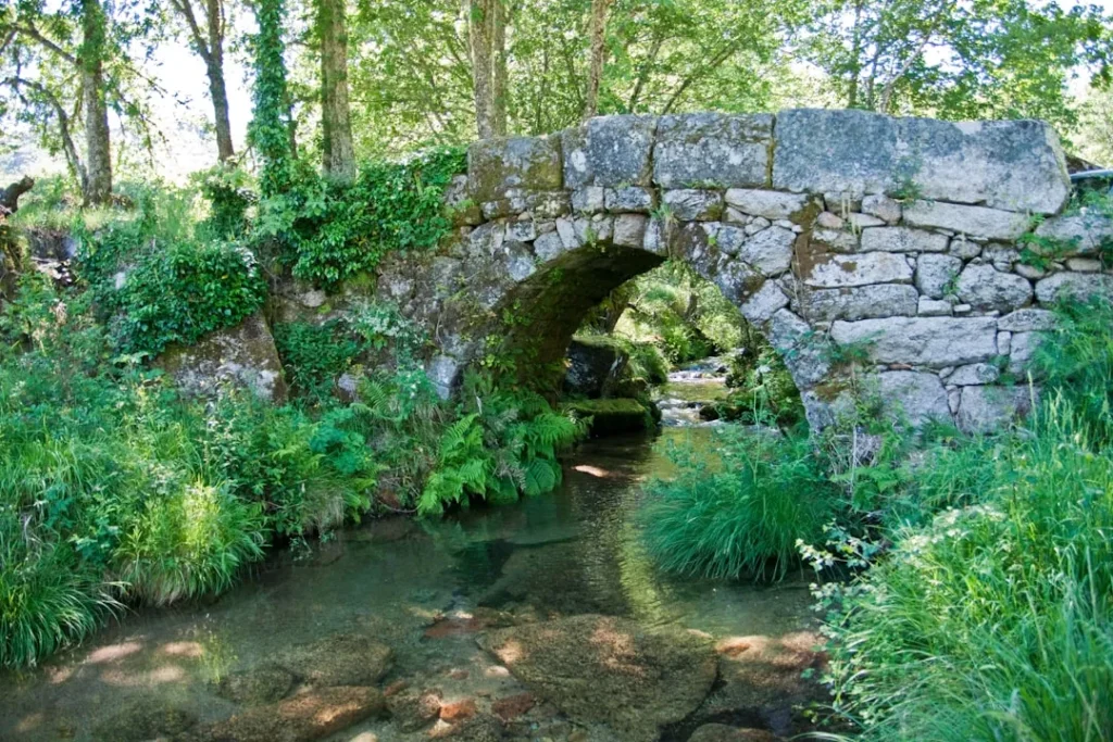 Stone bridge arches over a clear, shallow stream.