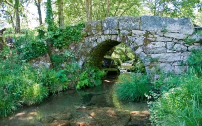 Stone bridge arches over a clear, shallow stream.