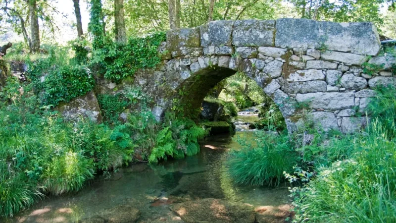 Stone bridge arches over a clear, shallow stream.